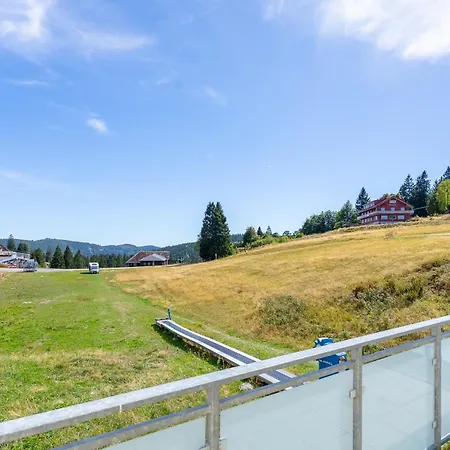 107 * Feldberg (Baden-Wurttemberg)